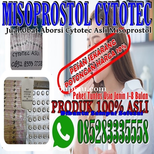 Apotik Jual Obat Aborsi Asli Online Di Bandung Pil Penggugur Ampuh